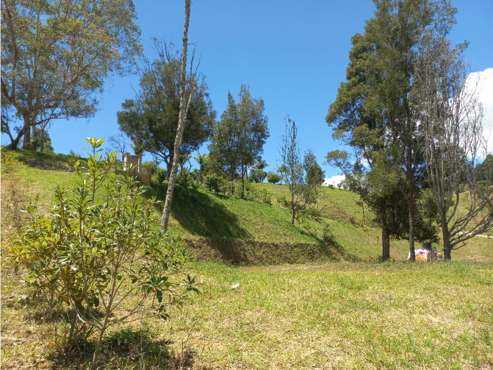Venta de Lote N°37 en Parcelación Natura Arrayanes — foto 2