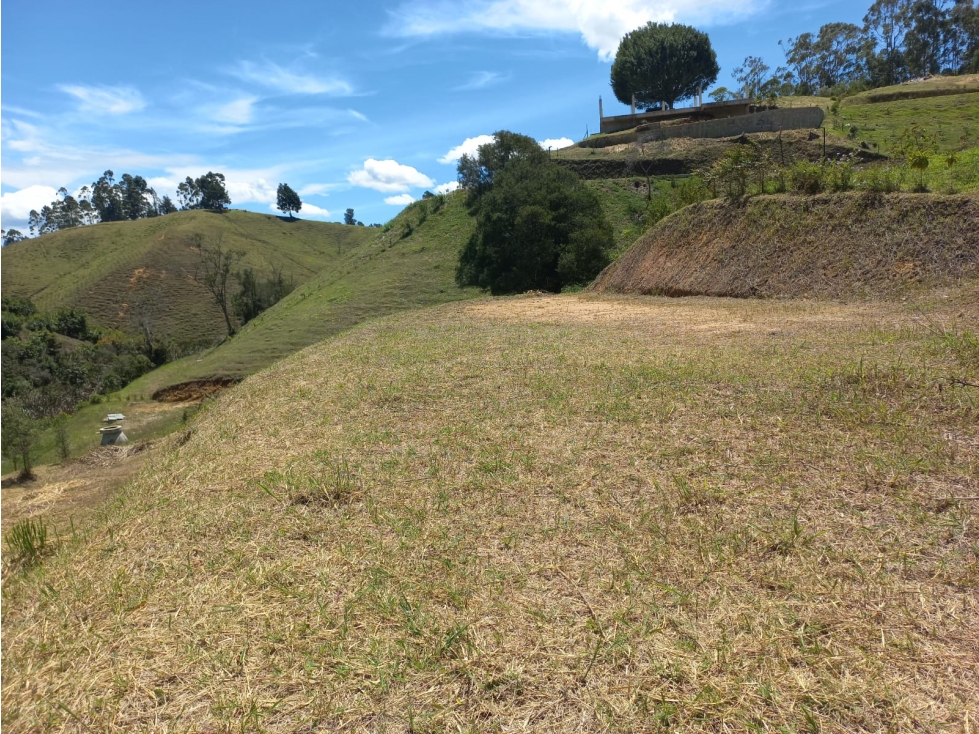 Venta de Lote N°28 en Parcelación Natura Arrayanes — foto 2