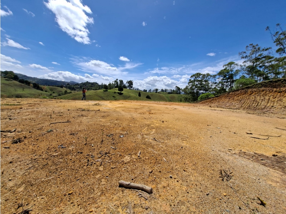 Venta de Lote N°16 en Parcelación Natura Arrayanes — foto 6