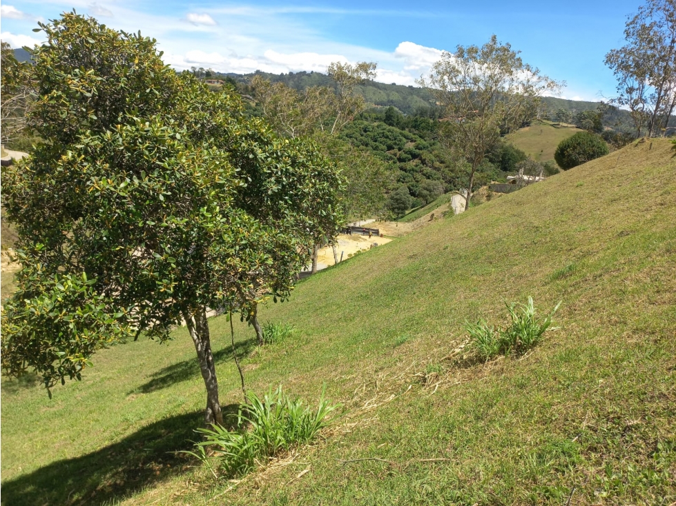 Venta de Lote N°9 en Parcelación Natura Arrayanes — foto 2