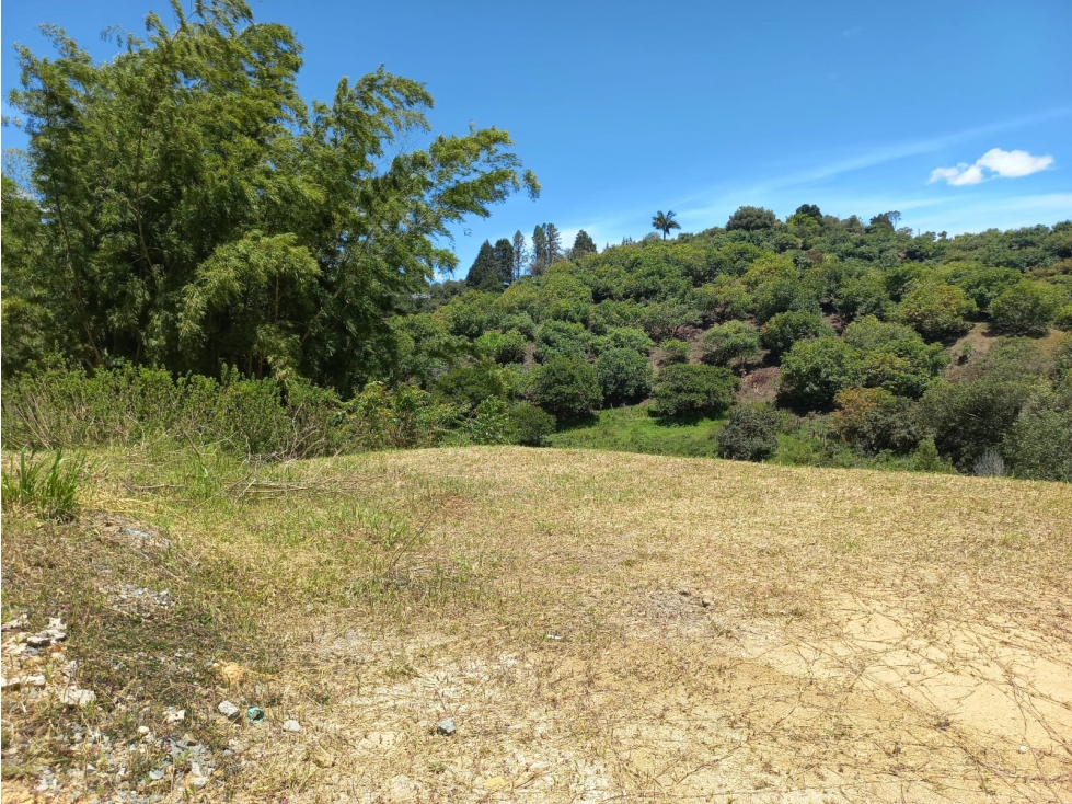 Venta de Lote N°28 en Parcelación Natura Arrayanes — foto 4