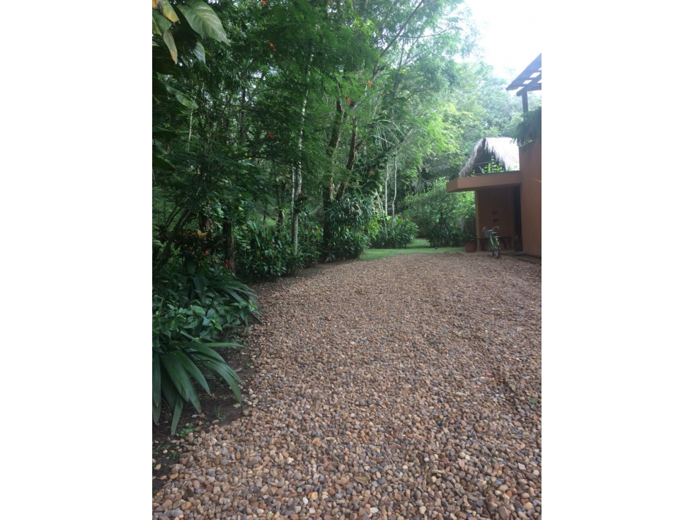 VENDO LINDA FINCA EN NILO - 2