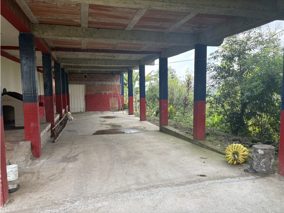 Venta de finca cafetera en Circasia Quindio, vereda la Siria — foto 5