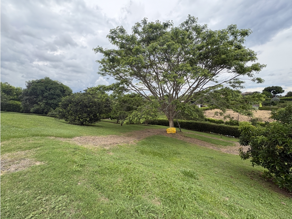Venta casa campestre Via Alcala- Pereira — foto 6