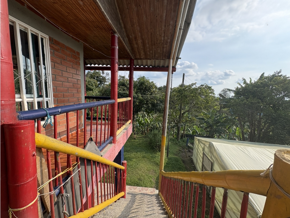 Venta de finca cafetera en Circasia Quindio, vereda la Siria — foto 6