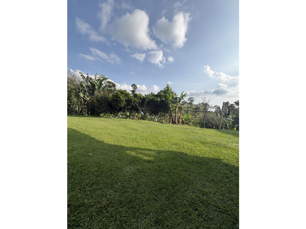 Venta de finca cafetera en Circasia Quindio, vereda la Siria — foto 2