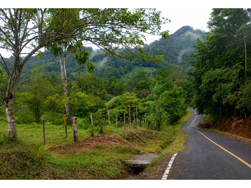 SE VENDE FINCA EN HACIENDA LA MONTAÑA VIA LA PINTADA COCLÉ
