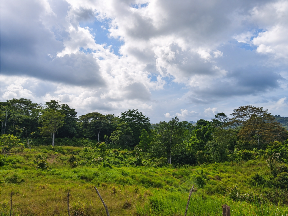 SE VENDE FINCA EN HACIENDA LA MONTAÑA VIA LA PINTADA COCLÉ — foto 2