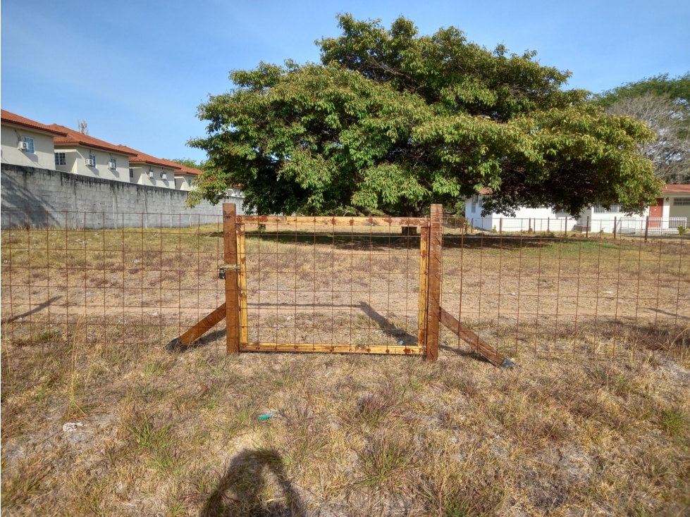 SE VENDEN DOS FINCAS EN MIRAFLORES PENONOMÉ — foto 3