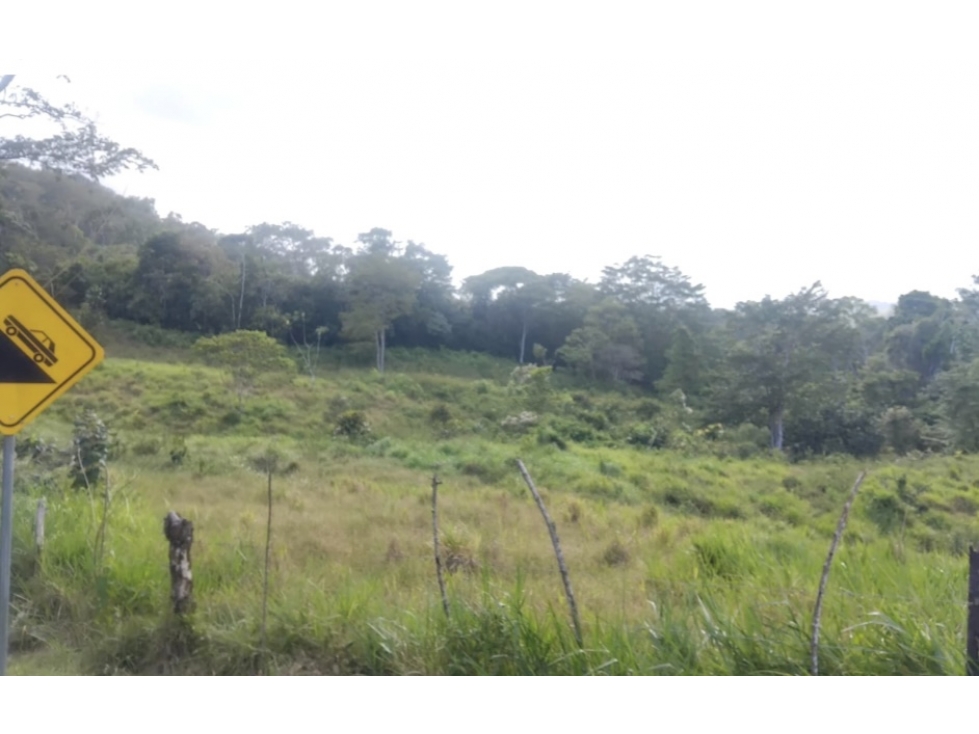SE VENDE FINCA EN HACIENDA LA MONTAÑA VIA LA PINTADA COCLÉ — foto 3