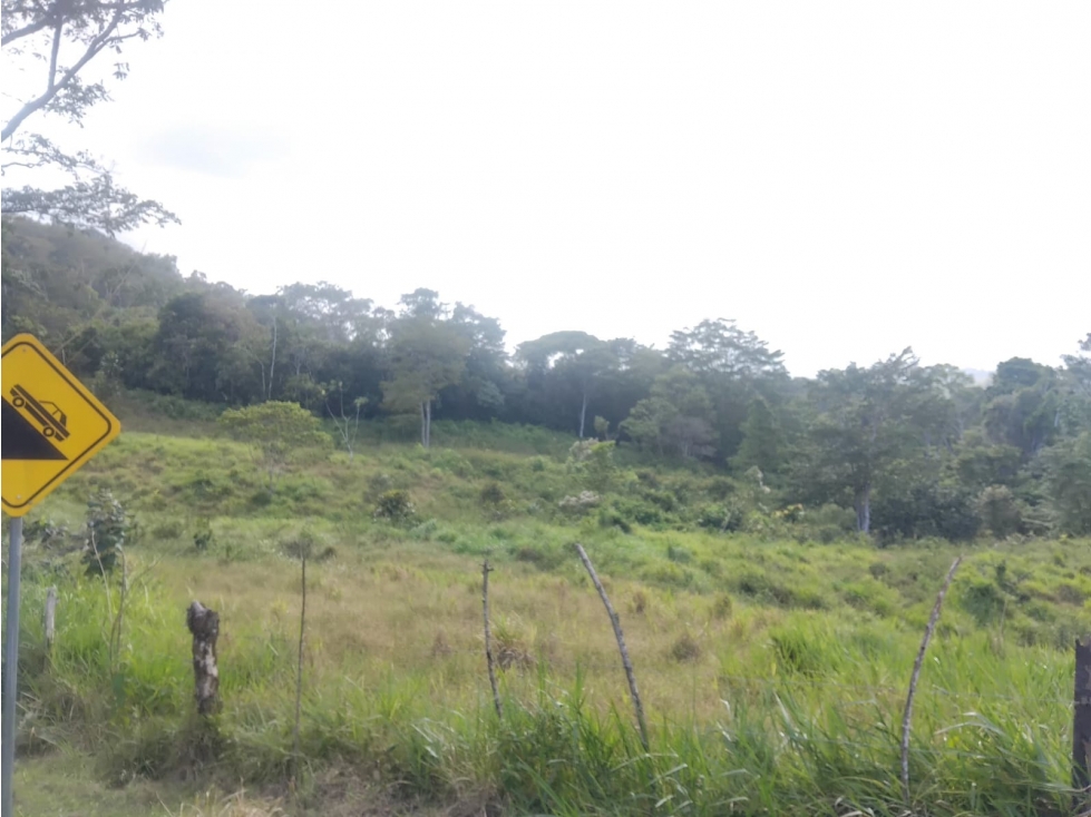SE VENDE FINCA EN HACIENDA LA MONTAÑA VIA LA PINTADA COCLÉ — foto 4