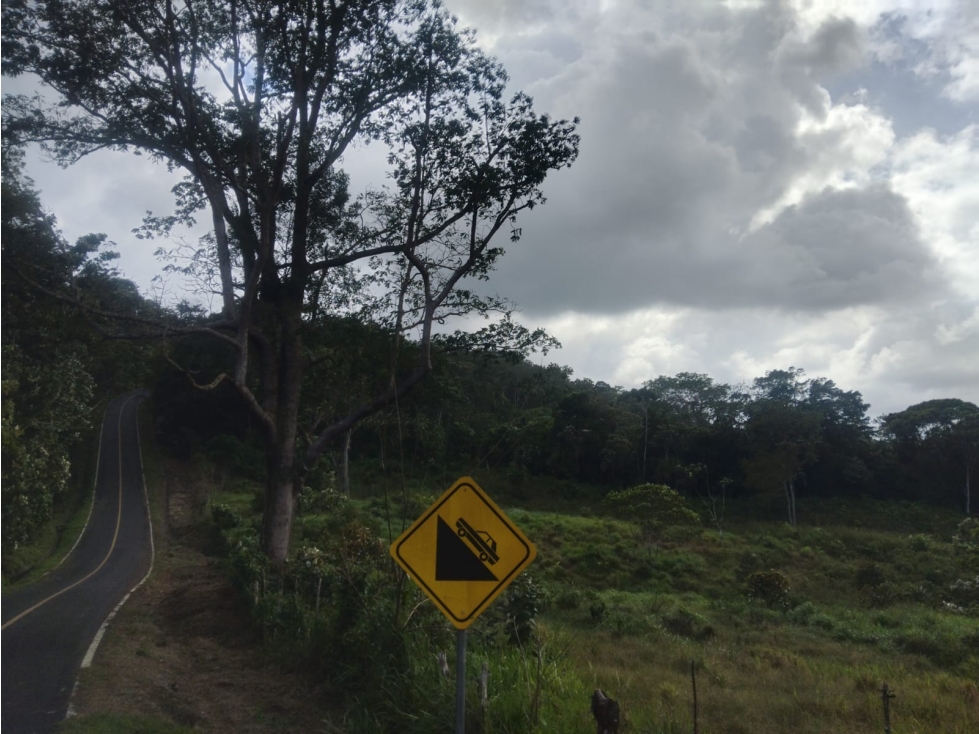 SE VENDE FINCA EN HACIENDA LA MONTAÑA VIA LA PINTADA COCLÉ — foto 5