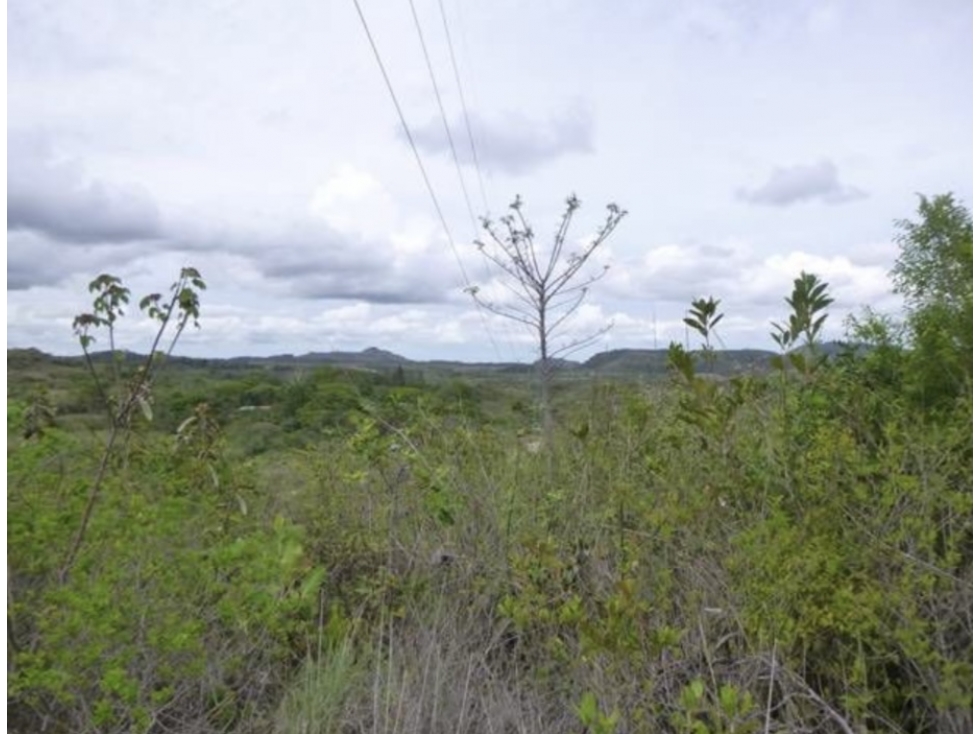 SE VENDE FINCA EN EL NANZAL, PAJONAL PENONOM T05 — foto 2