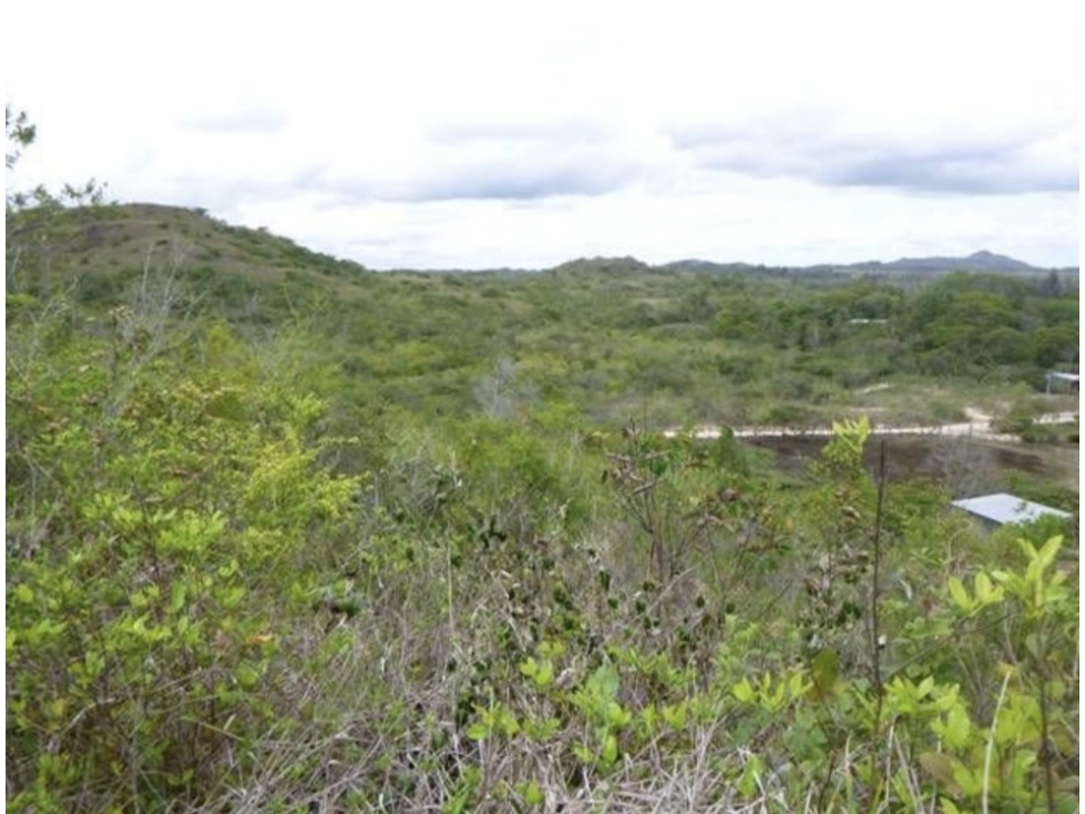 SE VENDE FINCA EN EL NANZAL, PAJONAL PENONOM T05