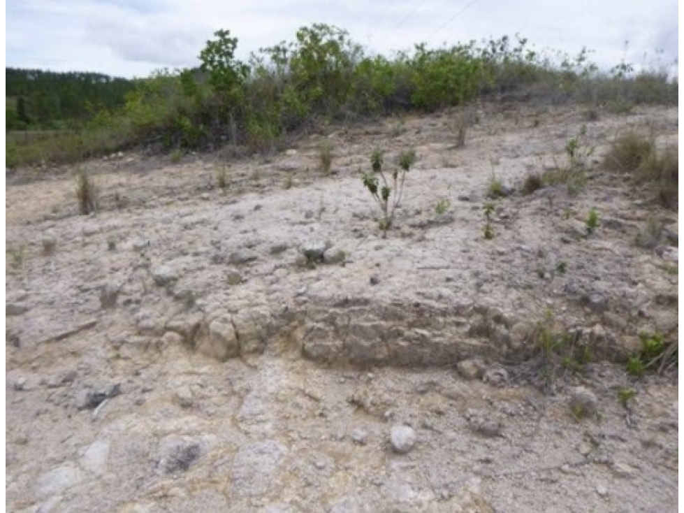 SE VENDE FINCA EN EL NANZAL, PAJONAL PENONOM T05 — foto 3