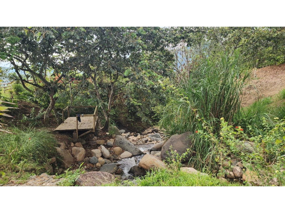 Venta de Finca Venecia Colonial — foto 6