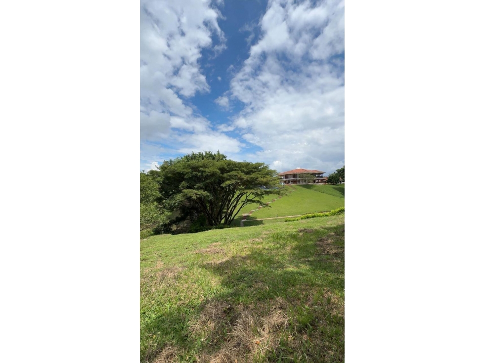 VENTA LOTE INDEPENDIENTE EN CERRITOS PEREIRA — foto 6