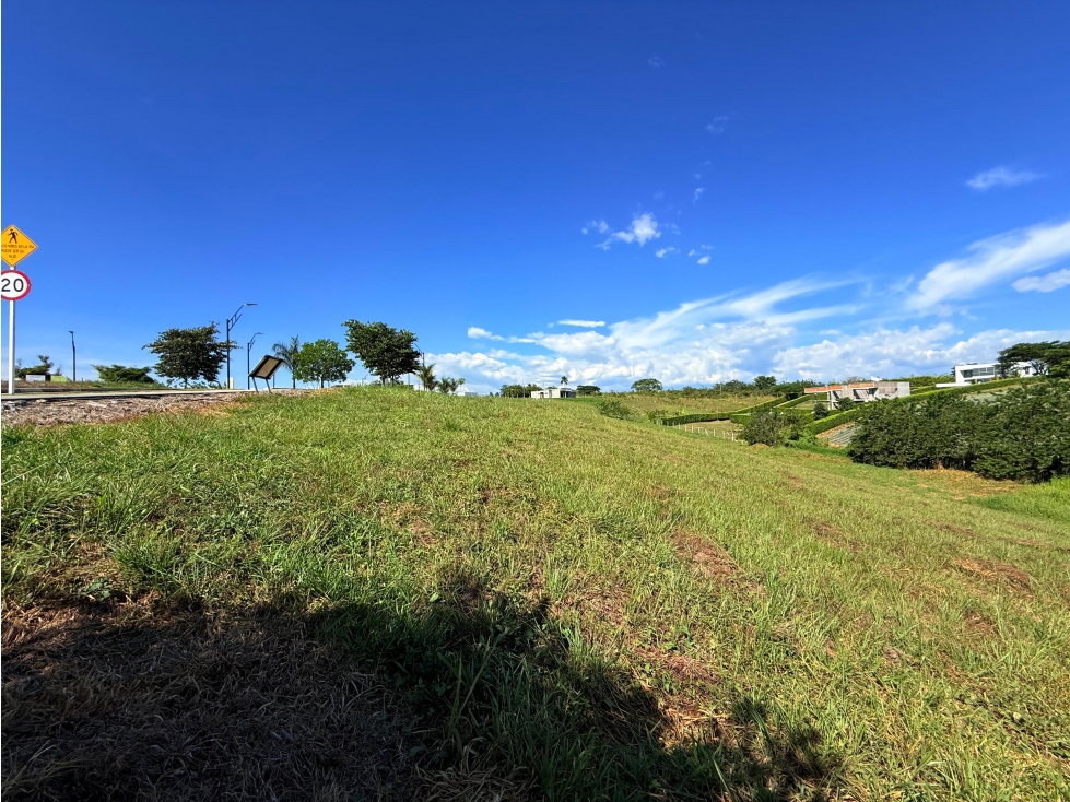 LOTE CAMPESTRE EN CERRITOS PEREIRA GANGAZO