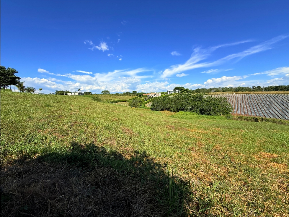 LOTE CAMPESTRE EN CERRITOS PEREIRA GANGAZO — foto 2
