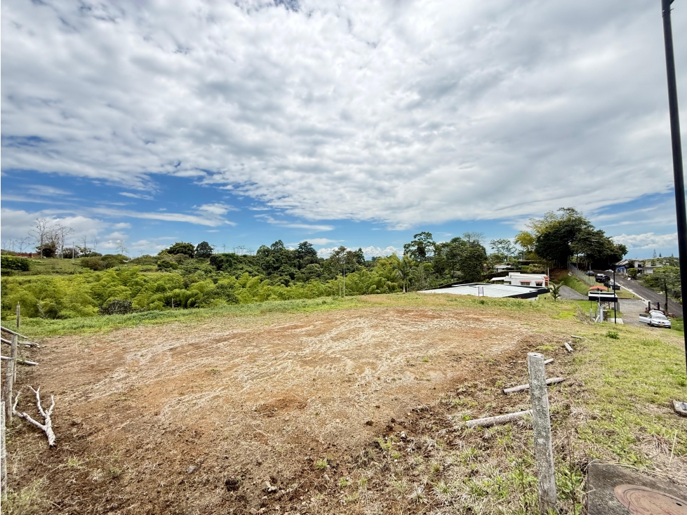 LOTE CAMPESTRE A 15 MINUTOS DE PEREIRA EN LA SALIDA A ARMENIA — foto 5