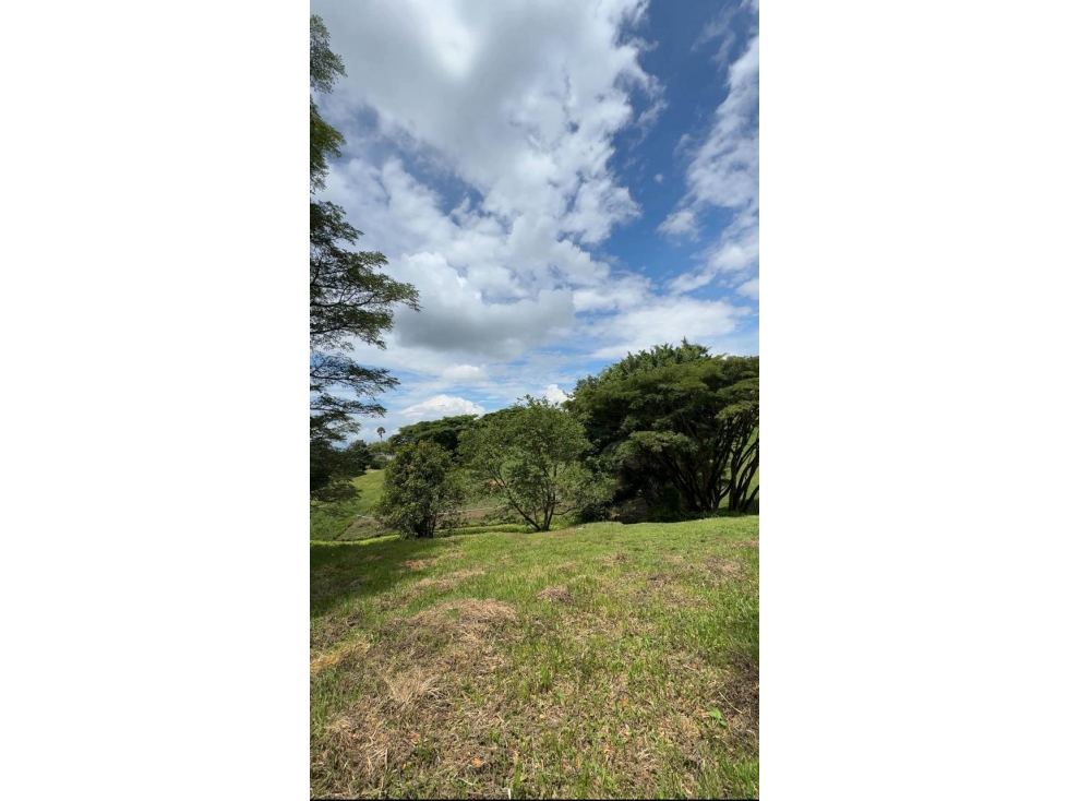 VENTA LOTE INDEPENDIENTE EN CERRITOS PEREIRA — foto 3