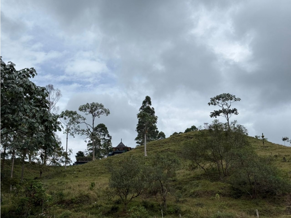 FINCA CON UNA EXCELENTE UBICACIÓN VÍA PEREIRA-ARMENIA - 6