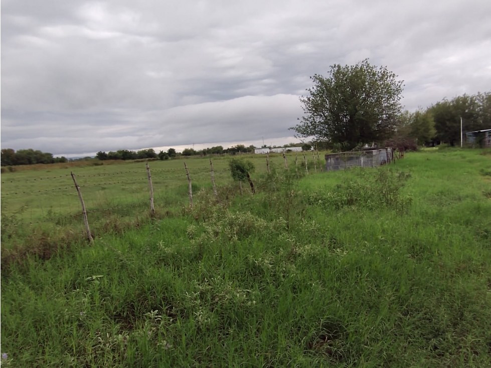 TERRENO EN VENTA LA ARENA PESQUERIA - 5