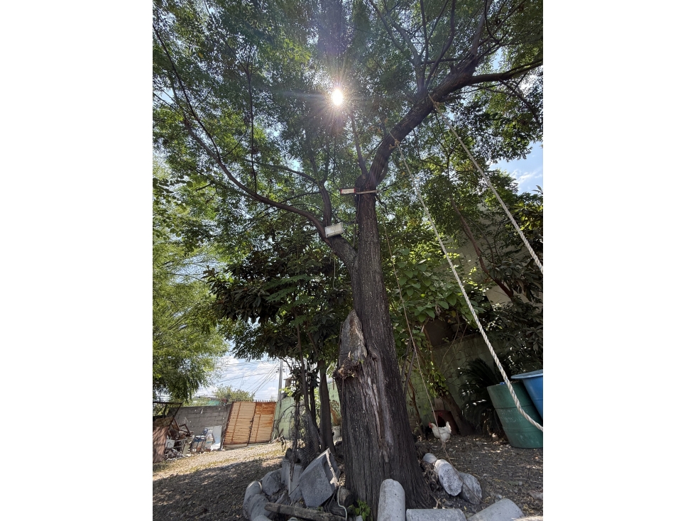 TERRENO CON CASA EN VENTA EN GUADALUPE A 950 m DE ELOY CAVAZOS - 3