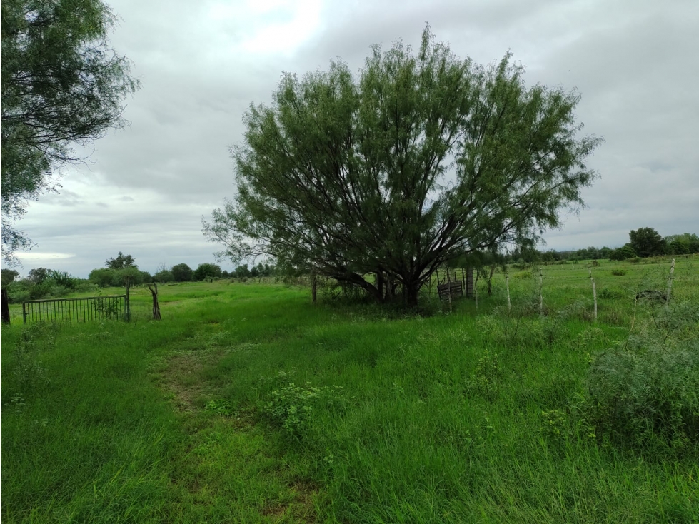 TERRENO EN VENTA LA ARENA PESQUERIA - 2