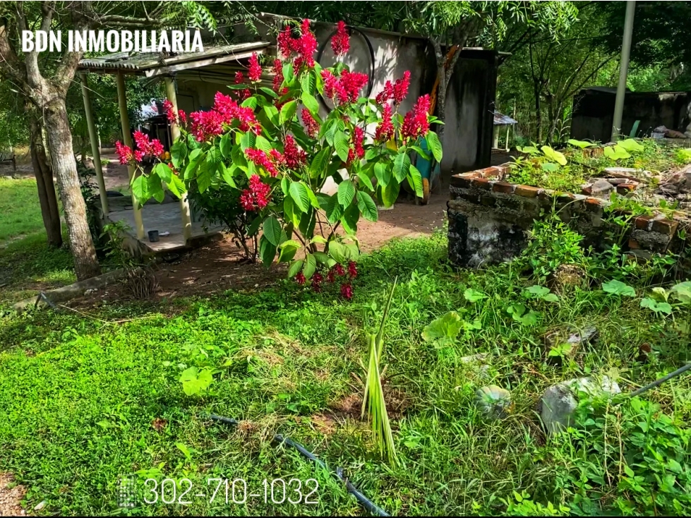 Se Vende finca 'La Luna', Sabanalarga, Atlántico - 3