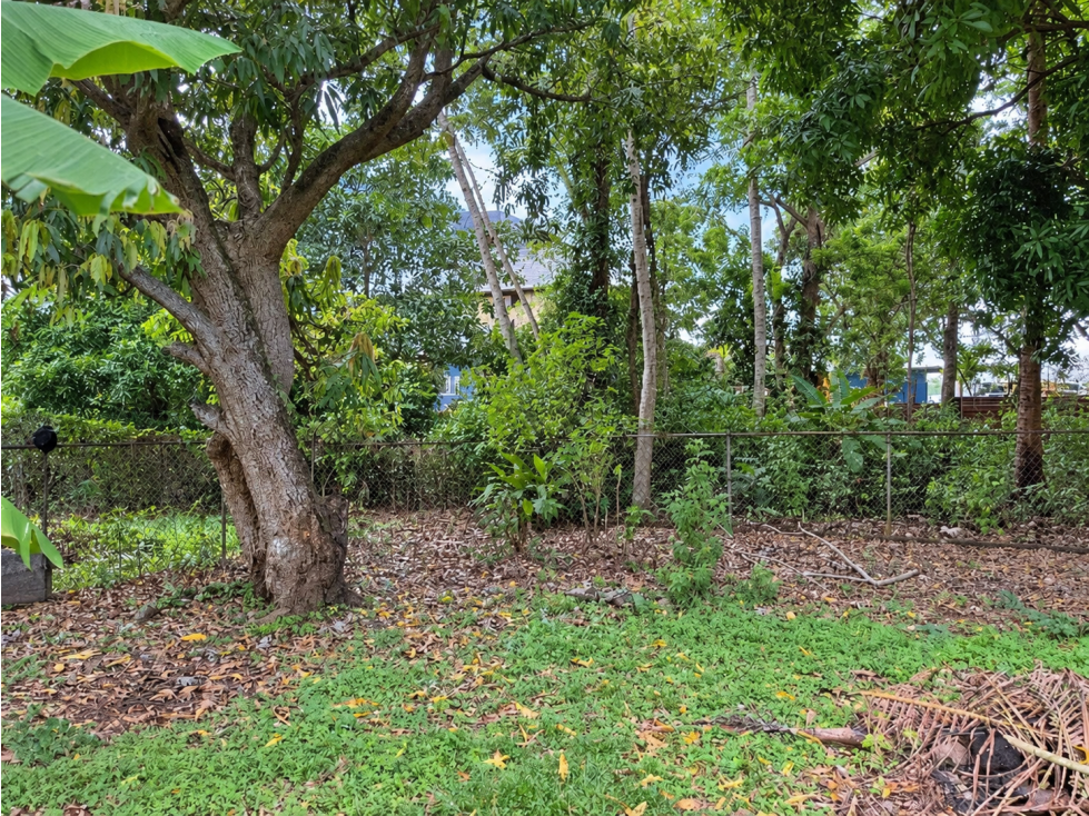 Propiedad con Terreno de 1,000 m² en Venta | Villa Cecilia, Pedregal — foto 4