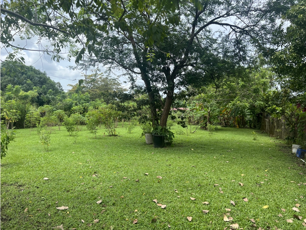 Venta de lote en Cabuya, Chame Frente a Playa Gorgona