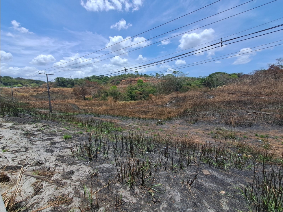 Terreno en Venta en Arraiján 4 Ha sobre Autopista — foto 5