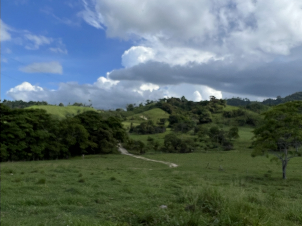 Venta de Finca Agropecuaria en Tortí Chepo - 2