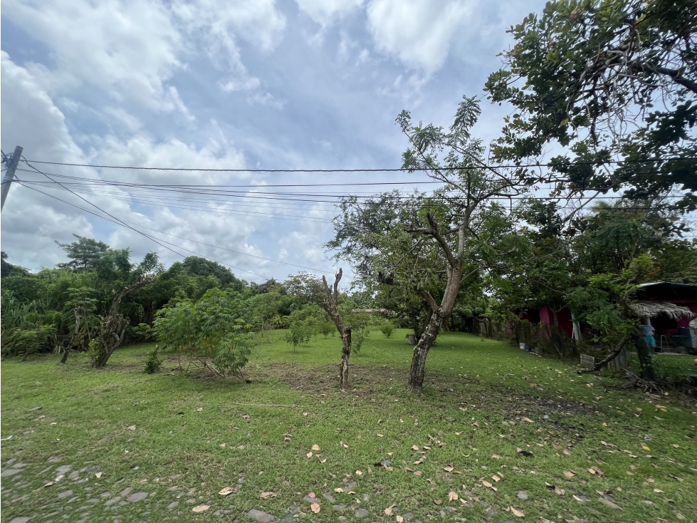Venta de lote en Cabuya, Chame Frente a Playa Gorgona — foto 2