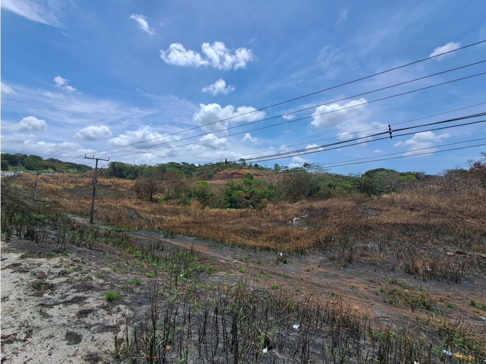 Terreno en Venta en Arraiján 4 Ha sobre Autopista — foto 6