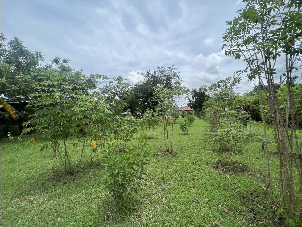 Venta de lote en Cabuya, Chame Frente a Playa Gorgona — foto 3
