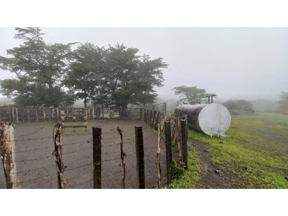 Finca Agro-Ganadera en Venta en Boquete 526 Ha - 5