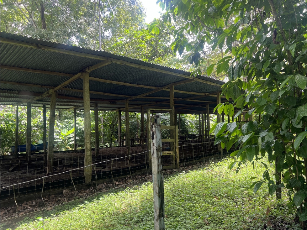 Venta de Terreno en Nuevo Vigía Colón - 3