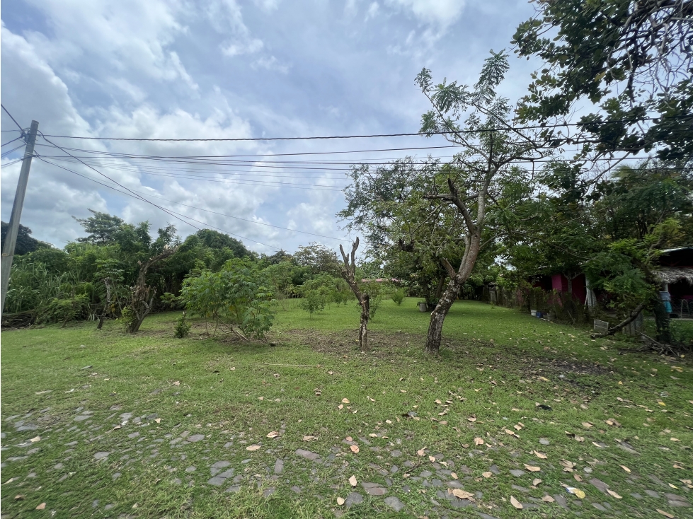 Venta de lote en Cabuya, Chame Frente a Playa Gorgona — foto 4