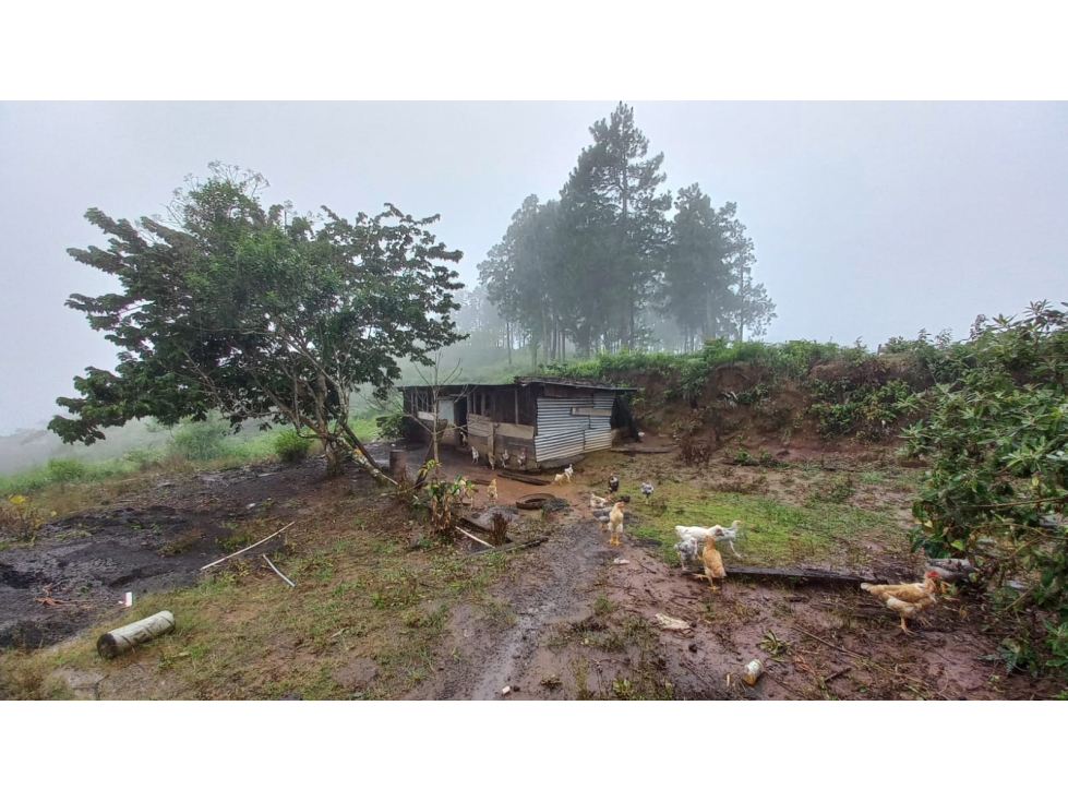 Finca Agro-Ganadera en Venta en Boquete 526 Ha - 6