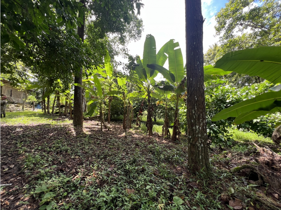 Venta de Terreno en Nuevo Vigía Colón - 4
