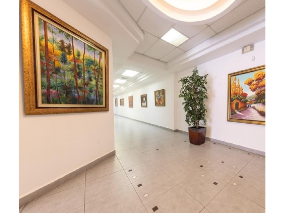 Alquiler de oficinas | Desde 227 m² hasta 426.5 m² | Vista Hermosa