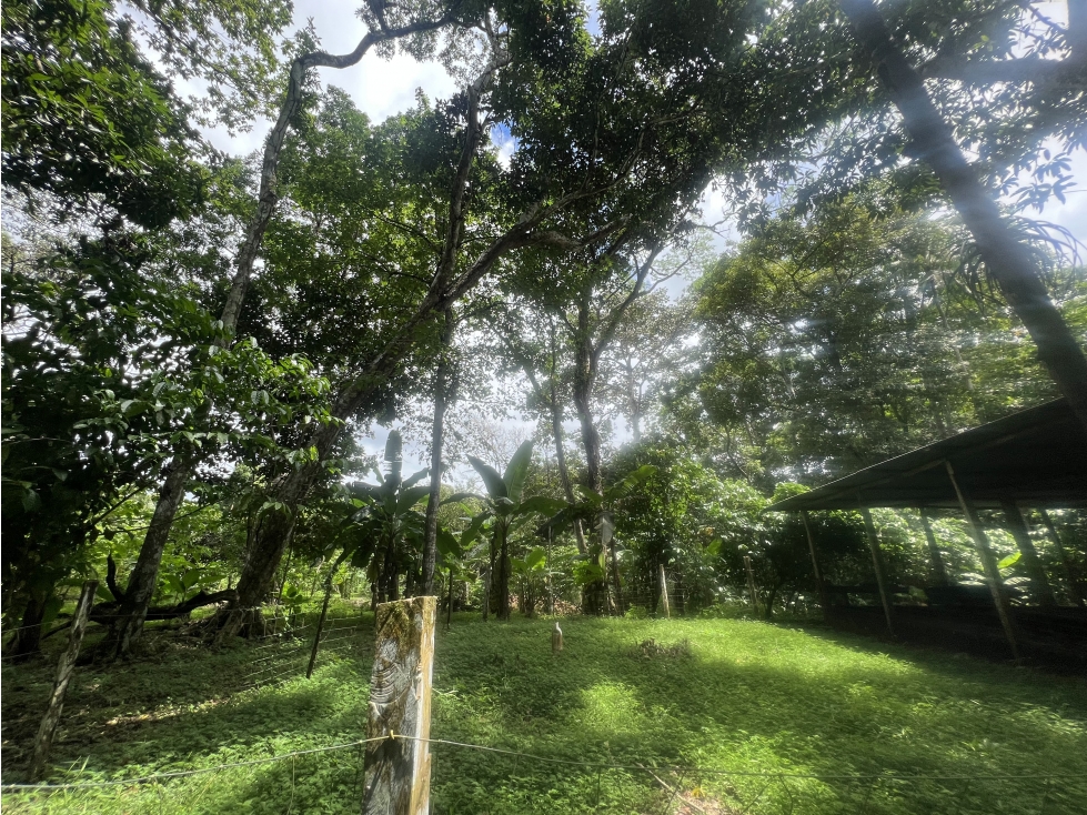 Venta de Terreno en Nuevo Vigía Colón - 5