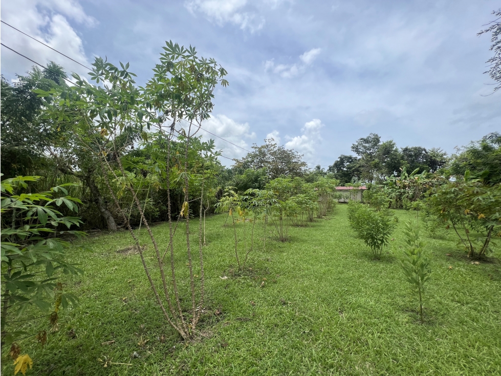 Venta de lote en Cabuya, Chame Frente a Playa Gorgona — foto 5