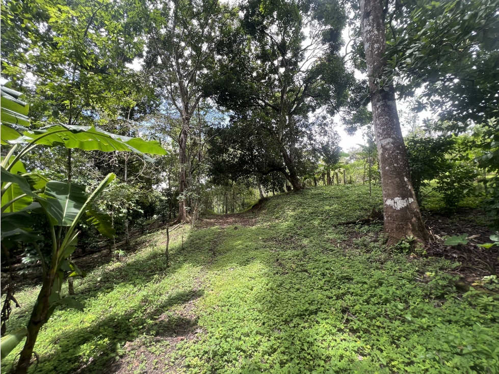 Venta de Terreno en Nuevo Vigía Colón - 6