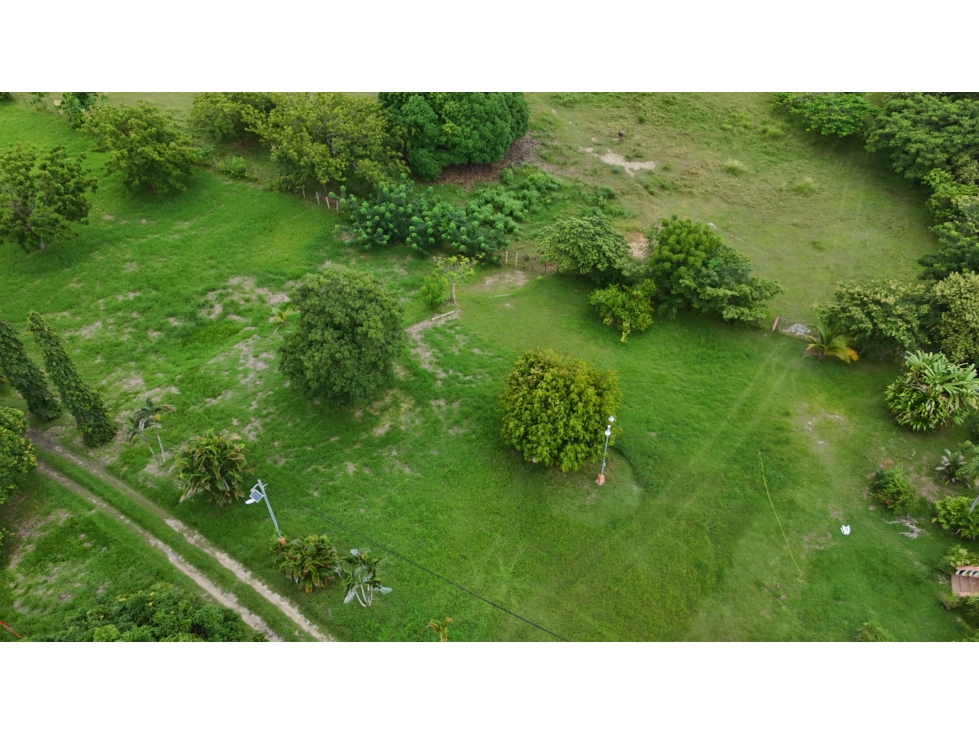 Venta Lote 14,607 m² en Las Lajas Frente a Coronado — foto 5