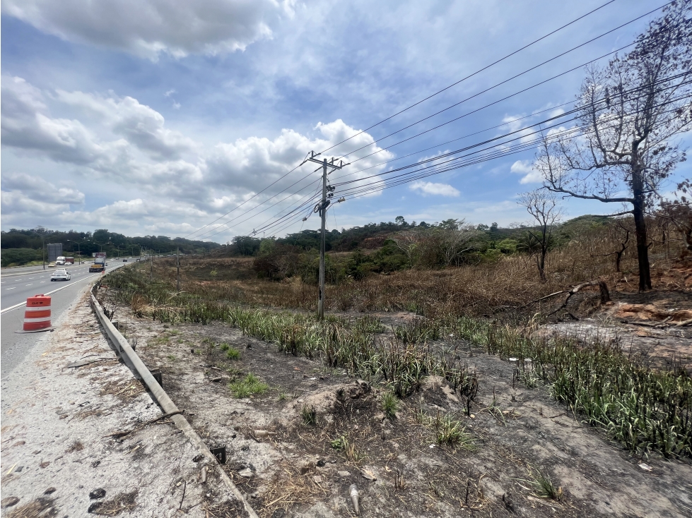 Terreno en Venta en Arraiján 4 Ha sobre Autopista — foto 4