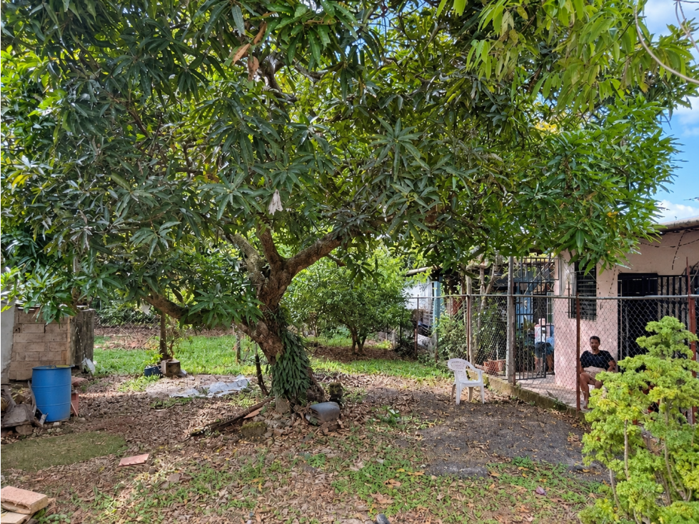 Propiedad con Terreno de 1,000 m² en Venta | Villa Cecilia, Pedregal — foto 6