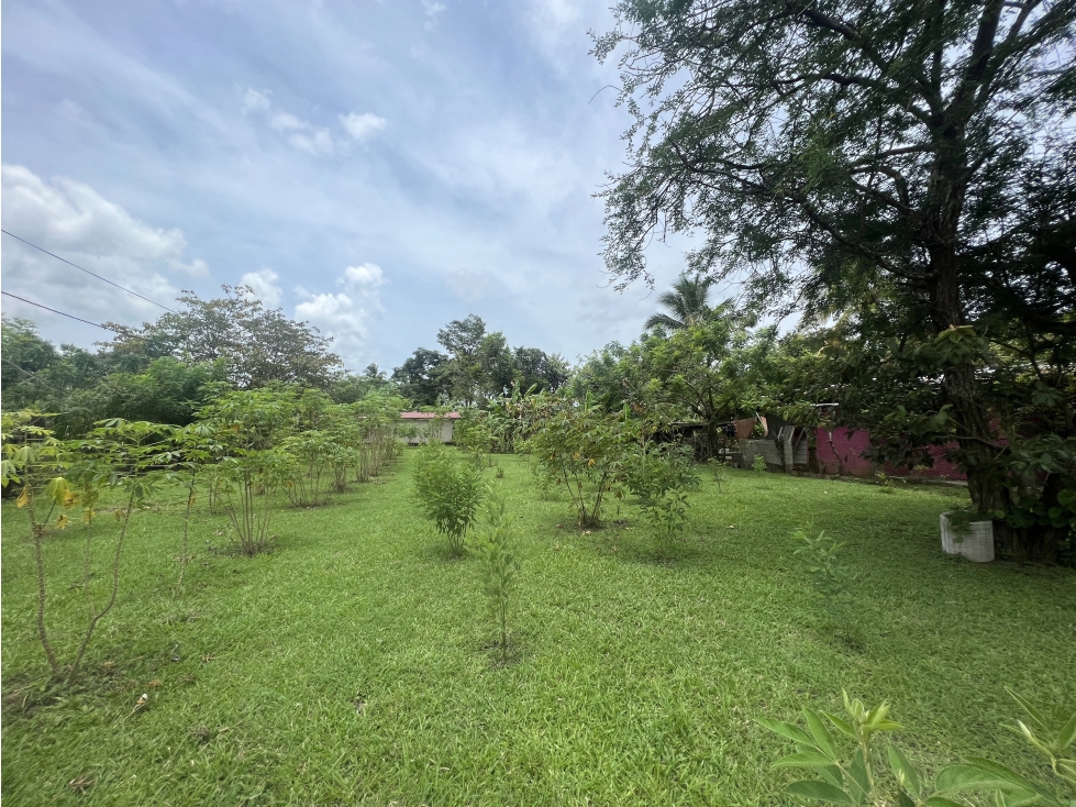 Venta de lote en Cabuya, Chame Frente a Playa Gorgona — foto 6
